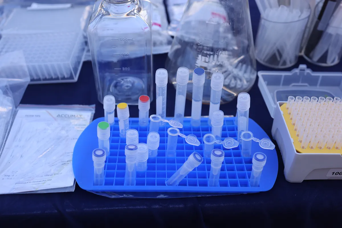 Laboratory Plasticware & Consumables